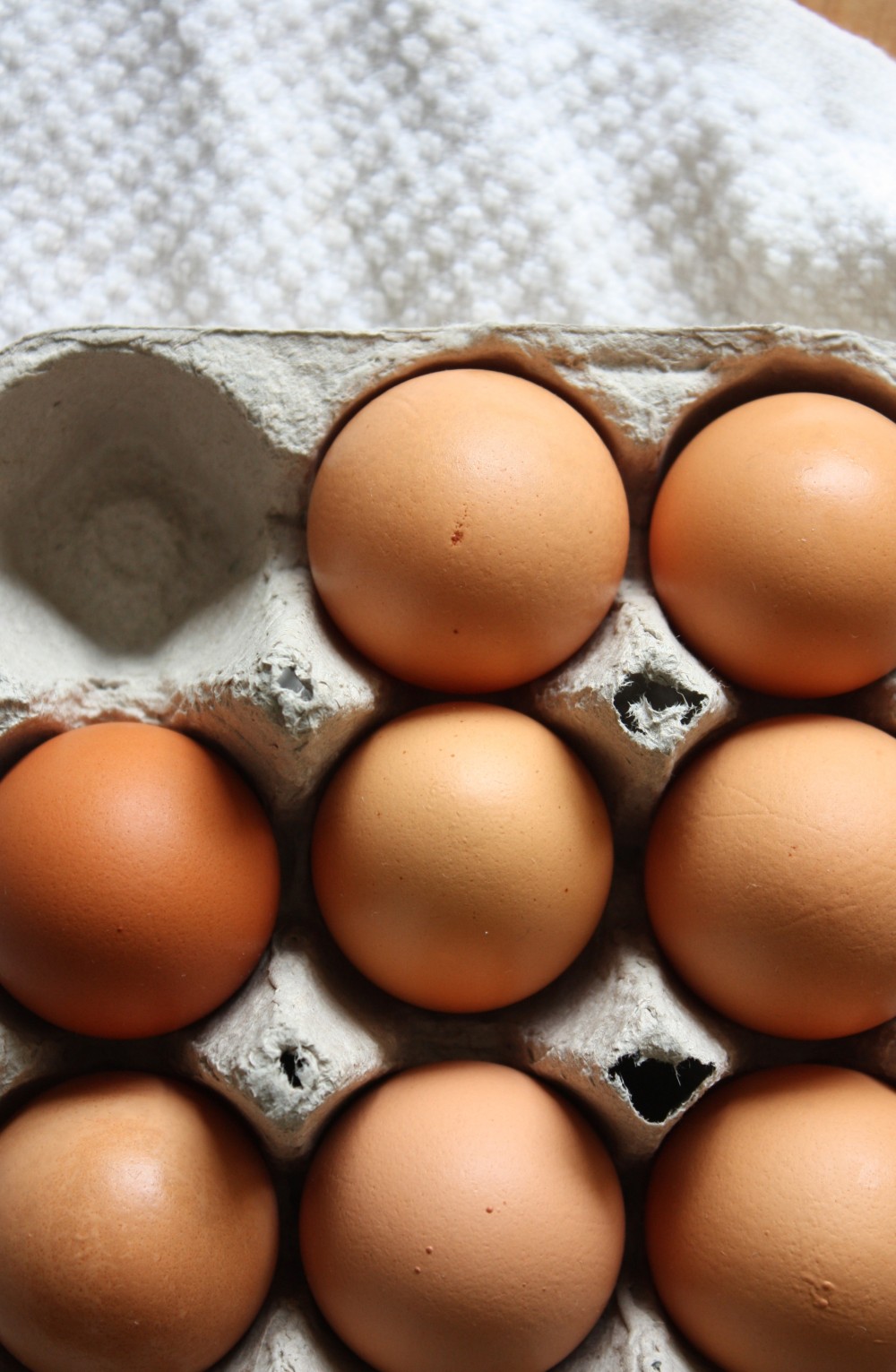 Oeufs frais