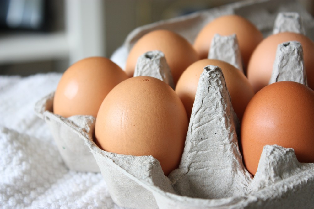 Oeufs bios